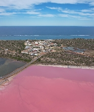 3日西澳大利亞粉紅湖