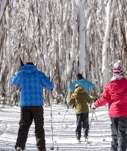 湖山玩雪 & 瀑布之旅