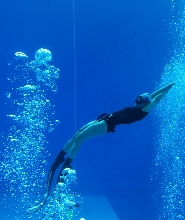 大田自由潛水一日課程體驗