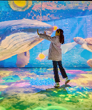 果川奇蹟公園門票