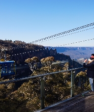 藍山風景區纜車 & 悉尼動物園之旅