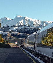 新西蘭阿爾卑斯號高山景觀火車票（基督城 - 亞瑟通道）