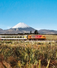 新西蘭北島探索者火車票：奧克蘭—威靈頓