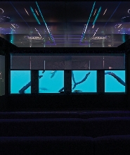 新西蘭皇后鎮Time Tripper水下探索體驗門票