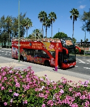 大加那利島拉斯帕爾馬斯隨上隨下觀光巴士之旅