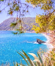 【佛羅倫斯出發】五漁村之旅（可選擇加購比薩行程）