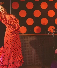 洛斯塔蘭託斯弗拉門戈表演門票