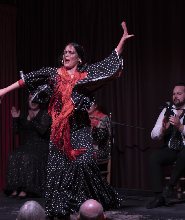 巴塞羅那Palau Dalmases弗拉門戈表演門票