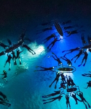 夏威夷大島夜間潛水體驗（觀野生魔鬼魚）