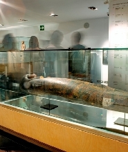 巴塞隆納埃及博物館門票