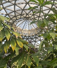 布里斯班城市觀光之旅