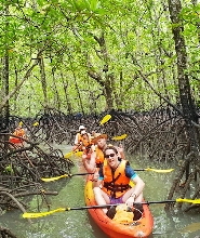 蘭塔島紅樹林獨木舟半日遊（含午餐）