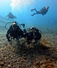 探索格蘭 Canaria 島的深處：PADI 5 星中心開放水域潛水員課程