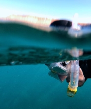 大加那利島海岸探索：浮潛之旅（PADI 5星潛水中心）