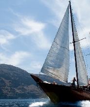 洛斯巨人懸崖賞鯨巡航之旅（含午餐）