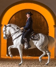 皇家安達盧西亞馬術藝術學院完整參觀體驗