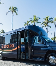 檀香山國際機場—威基基酒店共享接送服務（單程 / 往返）