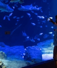 紐約水族館門票