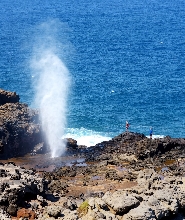 歐胡島終極環島一日遊
