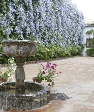 科爾多瓦維亞納宮門票