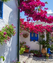 哥多華庭院之旅