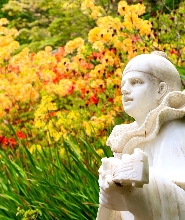 澳洲墨爾本馬其頓山秋季一日遊（中文導覽）