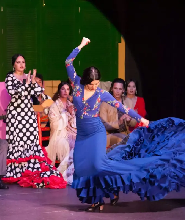 塞維利亞 El Palacio Andaluz 弗拉門戈表演
