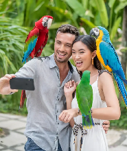 峇裏島野生鳥園門票