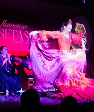 塞維利亞弗拉明戈舞表演 (Tablao Flamenco La Setas, Flamenco show in Seville)