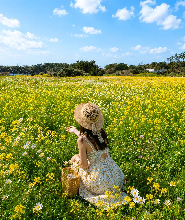 濟州最佳景點：3條路線湊團一日遊（東部／南部／西部）