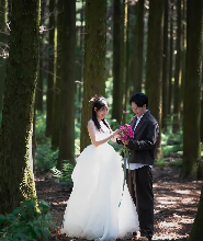 濟州童話色彩婚紗照（婚禮提案）
