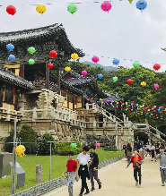 釜山出發：慶州歷史區大陵苑、良洞村、雁鴨池一日遊