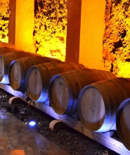 Bodegas Monje酒莊參觀與品鑑體驗