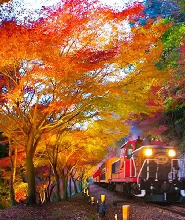 2026京都夢幻點燈賞楓一日遊：金閣寺&嵐山（含夜楓列車・大阪/京都出發）