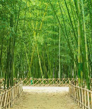 釜山出發| 蔚山蔚州郡一日遊