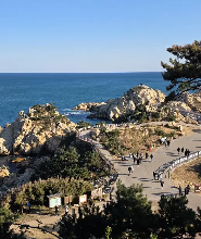 釜山免費接送| 大王巖公園 & 盤龜台巖畫歷史 & 城市熱門景點一日遊