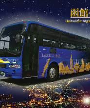 函館山夜景觀光巴士之旅