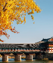 釜山出發| 慶州賞楓-普門觀光園區之旅+慶州東部歷史遺址區