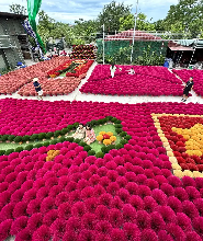 河內出發| Quang Phu Cau香村 & 手工藝村之旅