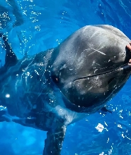 南寧極地海洋世界門票成人票