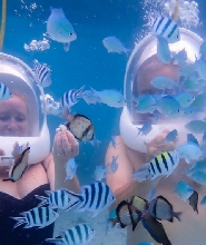 宿霧頭盔潛水體驗