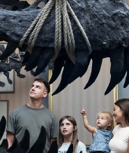 阿姆斯特丹 Art Zoo Museum 門票