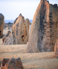 尖峰石陣、揚切普國家公園和天鵝谷之旅