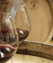 從普羅旺斯艾克斯出發的塞尚鄉村半日葡萄酒之旅