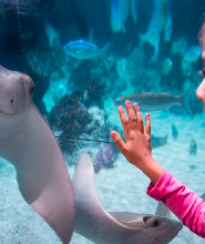 慕尼黑 SEA LIFE 水族館門票