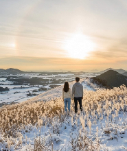 濟州四季花卉一日遊方案