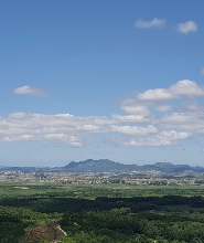 DMZ 非軍事區之旅；吊橋與脱北者會面