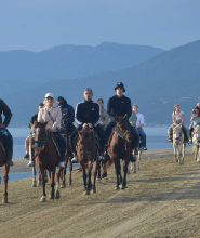 庫沙達瑟騎馬探險之旅，暢玩海灘並享免費飯店接送