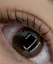 釜山西面 Premium Lash Lift 美睫體驗（Eyelash Perm）