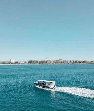 Mooloolaba賞鯨體驗（Coastal Express服務）